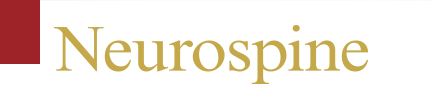 Neurospine Journal Editorial Board logo 1